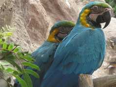 SAS Travel Peru - Recommended by Lonely Planet