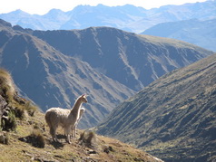 SAS Travel Peru - Recommended by Lonely Planet