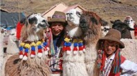 SAS Travel Peru