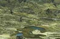 SAS Travel Peru