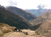 SAS Travel Peru