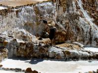 SAS Travel Peru