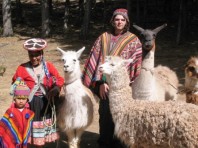 SAS Travel Peru